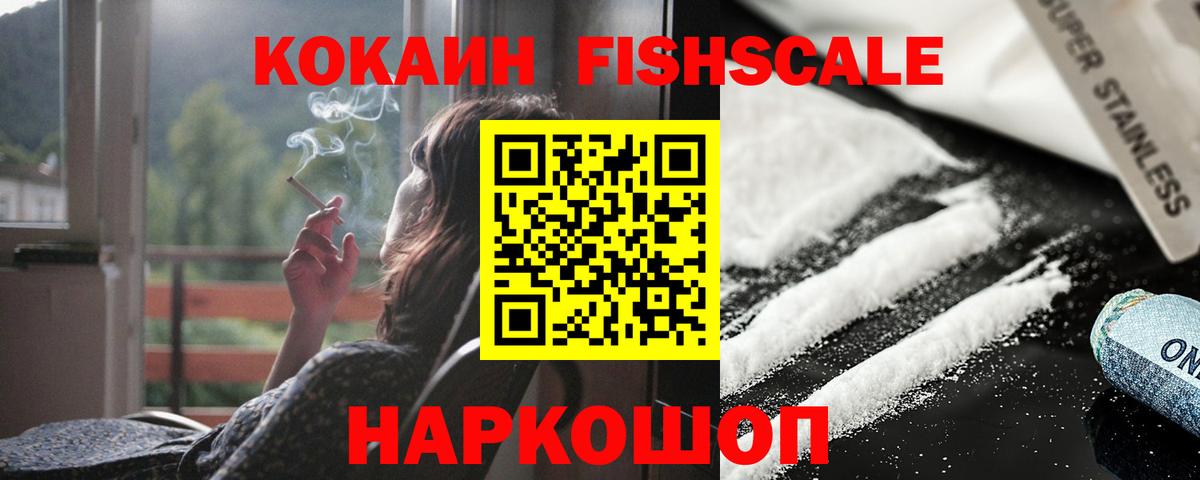 Cocaine FishScale  Вход с VPN  Димитровград 