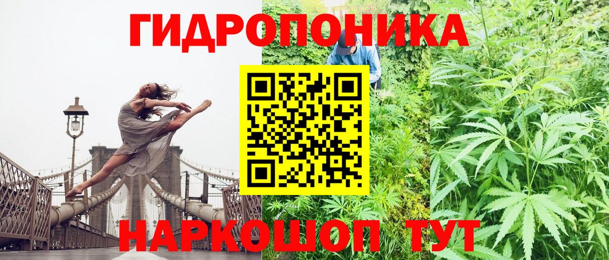 Шишки марихуана White Widow  Каннабис гибрид  Конопля VHQ  Бошки марихуана Ganja  Димитровград  Вход с VPN 